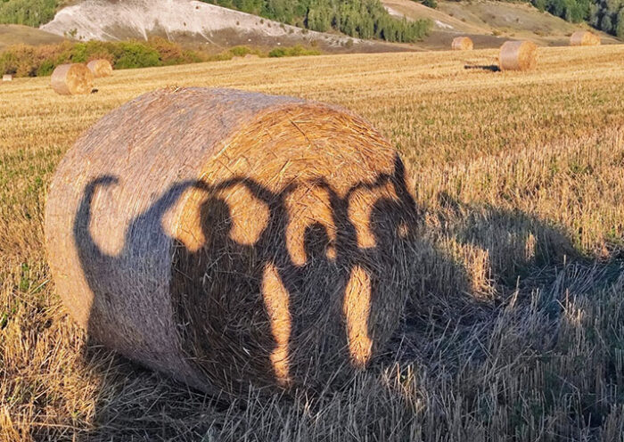Экскурсия в село Новодевичье