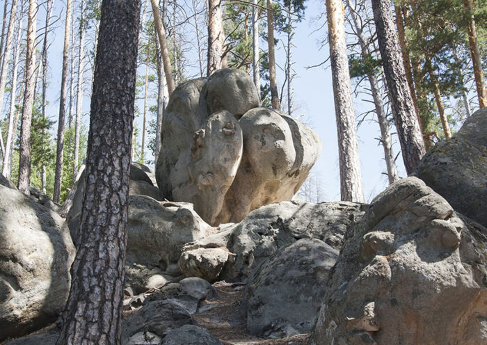 Экскурсия в Рачейский бор